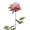 Pink Velvet Rose Stem by Ashland&#xAE;